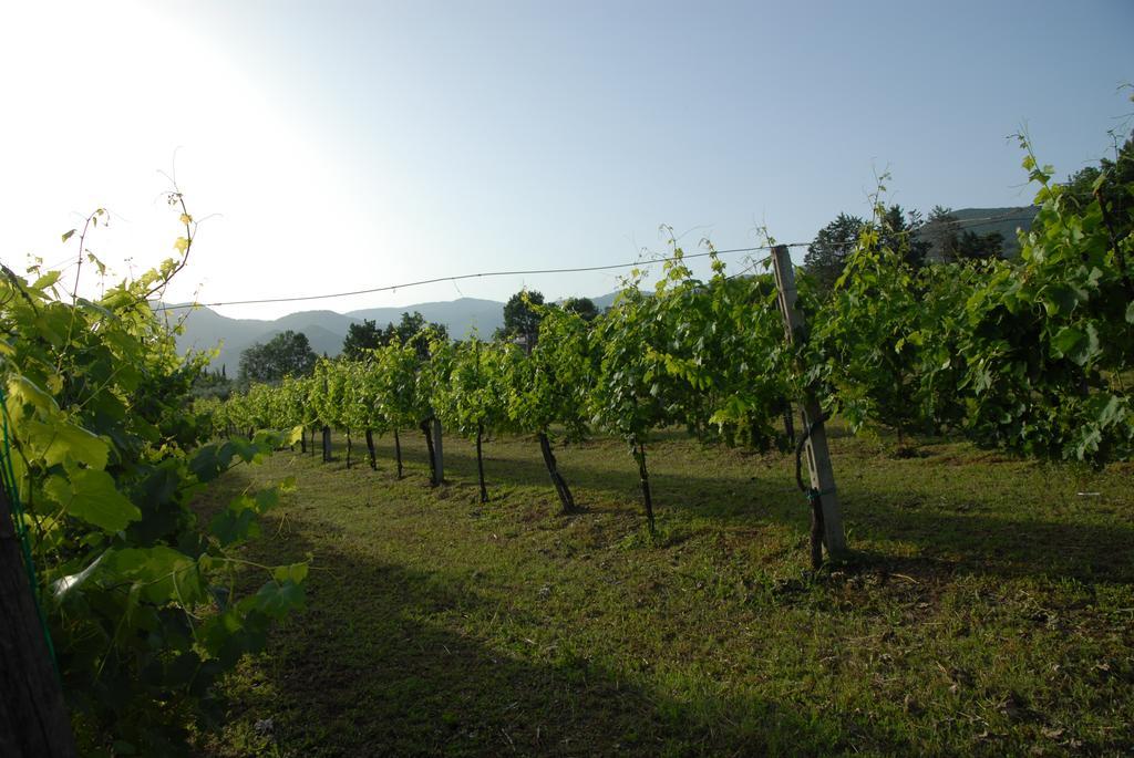 Tenuta Torellone San Potito Sannitico Bagian luar foto