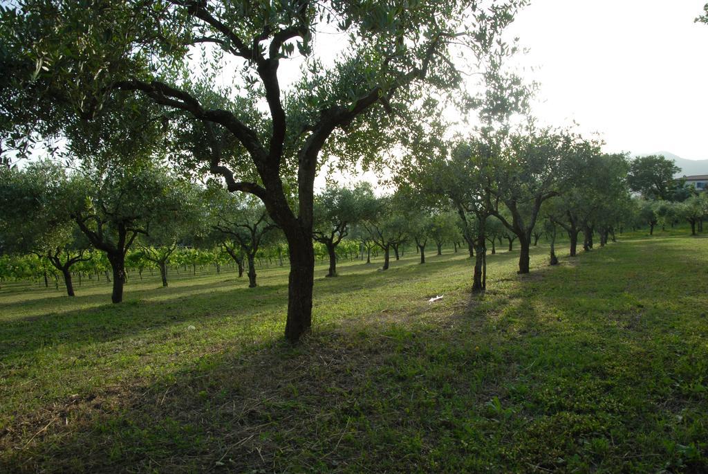 Tenuta Torellone San Potito Sannitico Bagian luar foto